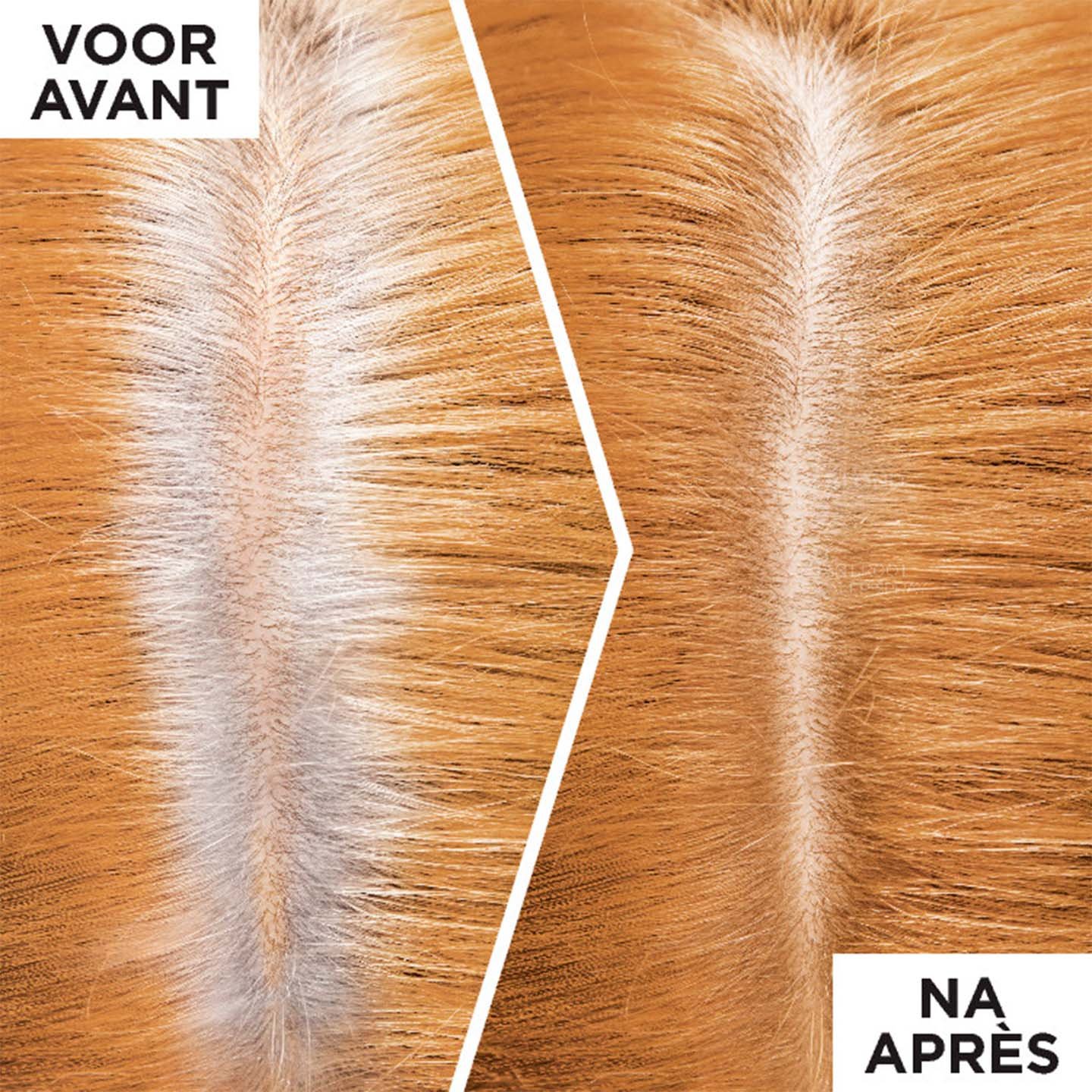 BeforeAfter BE Middenbruin